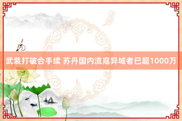 武装打破合手续 苏丹国内流寇异域者已超1000万