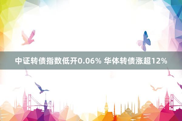 中证转债指数低开0.06% 华体转债涨超12%