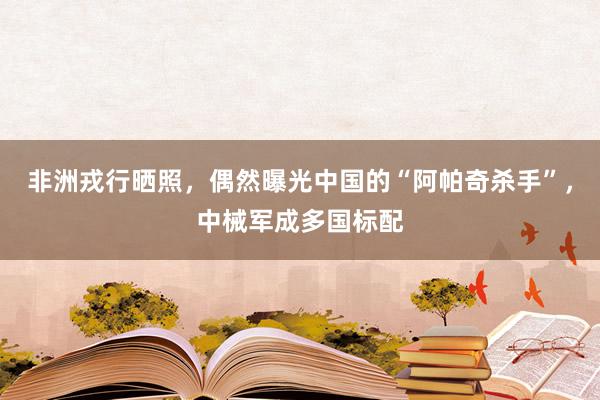 非洲戎行晒照，偶然曝光中国的“阿帕奇杀手”，中械军成多国标配