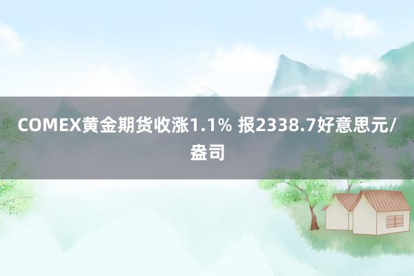 COMEX黄金期货收涨1.1% 报2338.7好意思元/盎司