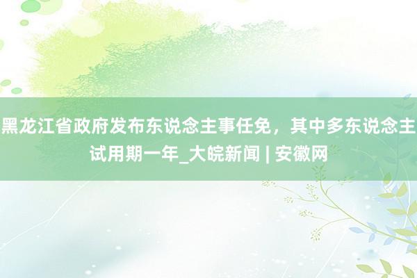 黑龙江省政府发布东说念主事任免，其中多东说念主试用期一年_大皖新闻 | 安徽网