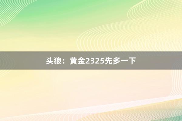 头狼：黄金2325先多一下