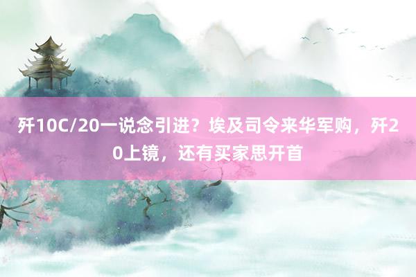 歼10C/20一说念引进？埃及司令来华军购，歼20上镜，还有买家思开首