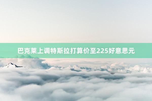 巴克莱上调特斯拉打算价至225好意思元