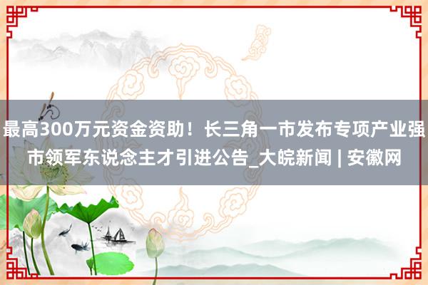 最高300万元资金资助！长三角一市发布专项产业强市领军东说念主才引进公告_大皖新闻 | 安徽网