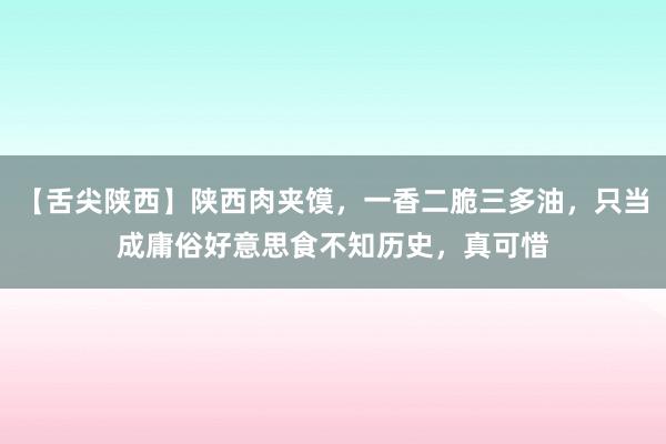 【舌尖陕西】陕西肉夹馍，一香二脆三多油，只当成庸俗好意思食不知历史，真可惜