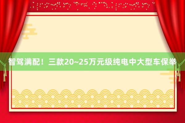 智驾满配！三款20~25万元级纯电中大型车保举