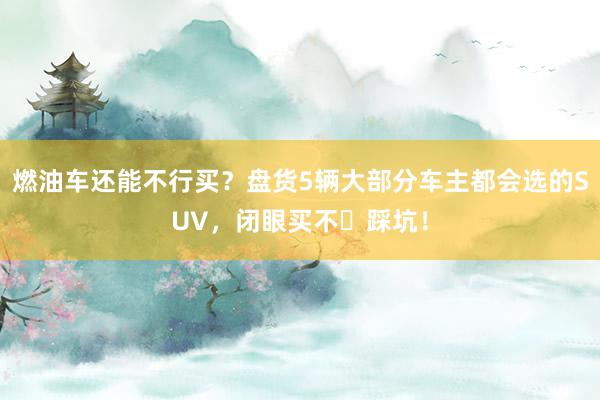 燃油车还能不行买？盘货5辆大部分车主都会选的SUV，闭眼买不​踩坑！