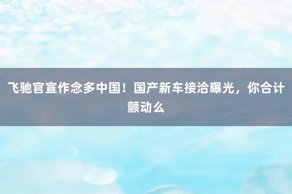 飞驰官宣作念多中国！国产新车接洽曝光，你合计颤动么