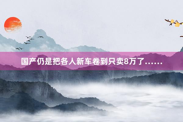 国产仍是把各人新车卷到只卖8万了……