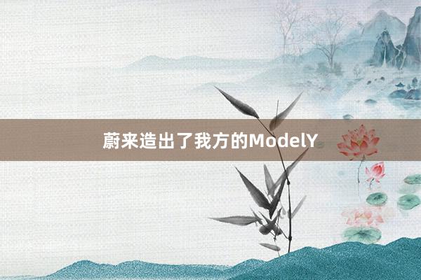 蔚来造出了我方的ModelY