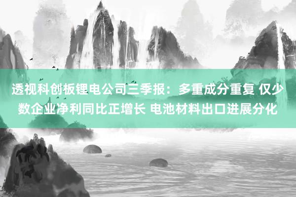 透视科创板锂电公司三季报：多重成分重复 仅少数企业净利同比正增长 电池材料出口进展分化